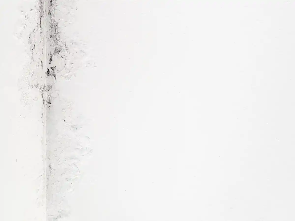 Frühlingcheck für die Aussenfassade.