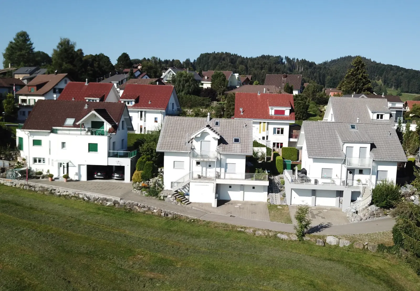 efh st. gallen 3