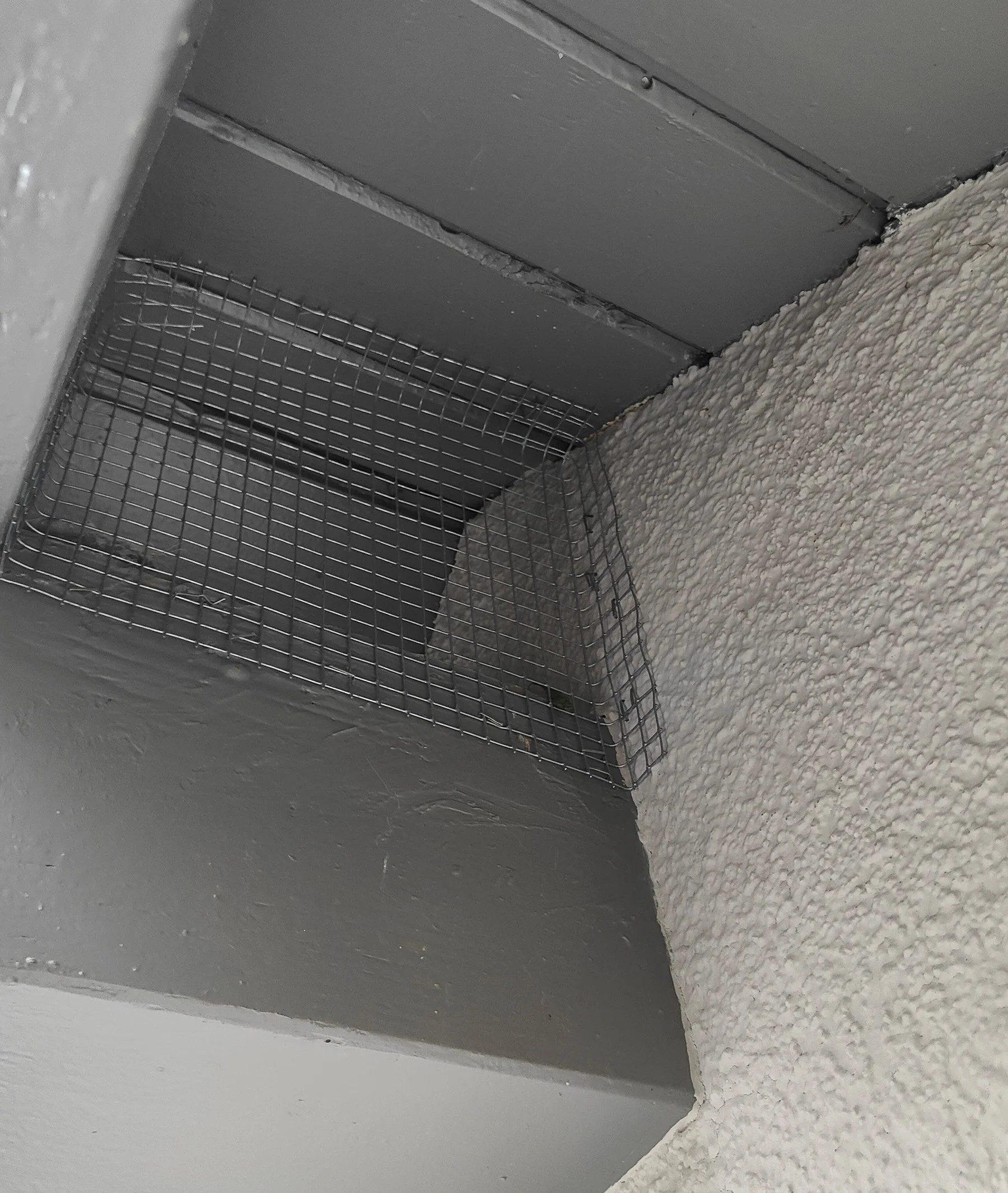 vogelblockaden x8